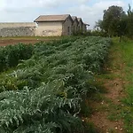 Villa Masseria Murrieri Vecchio, Salento Lizzanello